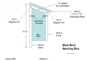 Mountain Bluebird House Plans How to Build A Bluebird House Bluebird Nest Box Plans