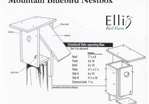 Mountain Bluebird House Plans Nestboxes