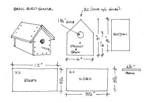 Multi Family Bird House Plans Multi Level Birdhouse Plans