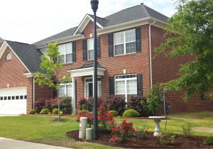 Mungo Homes Patterson Floor Plan Mungo Homes Roland Floor Plan Mungo Homes Patterson Floor Plan Mungo Homes Roland Floor Plan