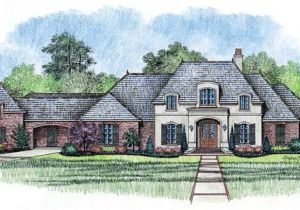 One Level French Country House Plans French Country House Plans One Story French Country House