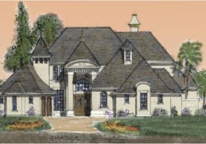 One Level French Country House Plans One Level French Country Home Plans Home Design and Style