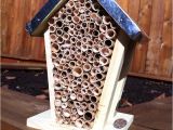 Orchard Mason Bee House Plans Make Your Own orchard Mason Bee House Gardening Pinterest