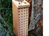Orchard Mason Bee House Plans Mason Bee Box Blue orchard Bee House Remilled by