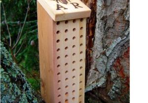 Orchard Mason Bee House Plans Mason Bee Box Blue orchard Bee House Remilled by