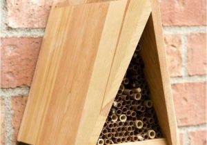 Orchard Mason Bee House Plans Mason Bee House Plans Luxury Modern Mason House Plans