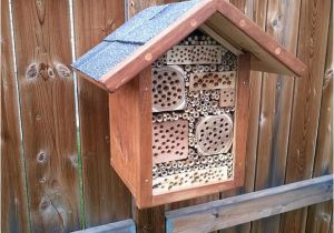 Orchard Mason Bee House Plans Mason Bees House Plans Insect Hotel Mason Bee House Plans