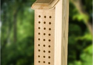Orchard Mason Bee House Plans Useful orchard Mason Bee House Plans Neas Job