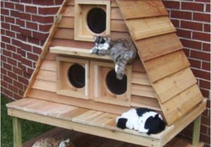 Outdoor Cat House Building Plans Outdoor Cat House Outdoor Cat House Building Plans
