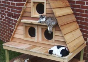 Outdoor Cat House Building Plans Outdoor Cat House Outdoor Cat House Building Plans