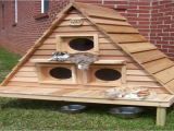 Outdoor Cat House Plans Cat House Plans Indoor Bestsciaticatreatments Com