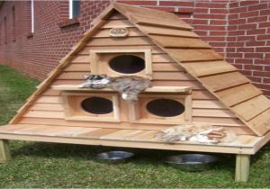 Outdoor Cat House Plans Cat House Plans Indoor Bestsciaticatreatments Com