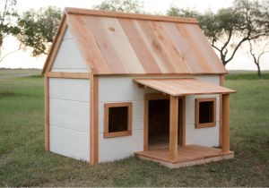 Outdoor Pet House Plans Dog House with Porch Buildsomething Com