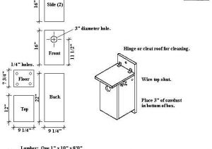 Owl House Plans Free Best 25 Owl House Ideas On Pinterest Owl Box Nest Box
