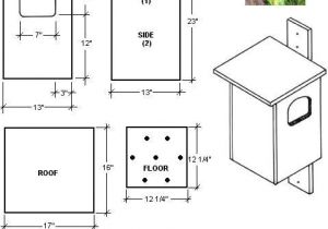 Owl House Plans Free Free Easy Bird House Plan Screech Owl Bird House Owl House Plans Free Free Easy Bird House Plan Screech Owl Bird House