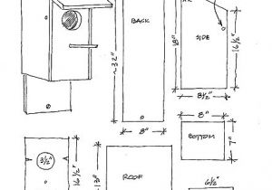 Owl House Plans Free Future Work Looking for Cub Scout Bird House Plans