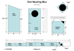 Owl House Plans Free Screech Owl House Plans How to Build A Screech Owl Box Owl House Plans Free Screech Owl House Plans How to Build A Screech Owl Box