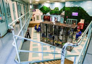 Pa Inmate Home Plan No Safe Harbor Part Ii Prisons Cope with Mental Health Pa Inmate Home Plan No Safe Harbor Part Ii Prisons Cope with Mental Health