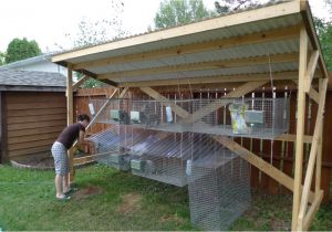 Peacock Housing Plans 10 Diy Rabbit Hutch Building Designs and Plans Diy Ideas