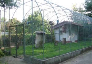 Peacock Housing Plans Macaw Aviary at Vogelpark Leopoldshafen Birds