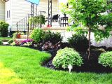 Perennial Flower Bed Plans for Front Of House Flower Bed Ideas for Full Sun Pictures Beautiful Black and
