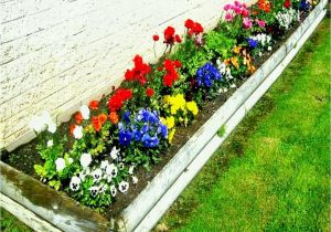Perennial Flower Bed Plans for Front Of House Flower Garden Ideas In Front Of House Perennial Pinterest