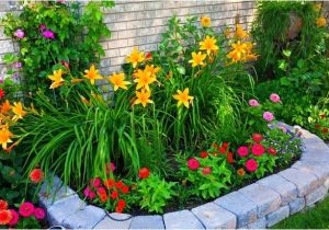 Perennial Flower Bed Plans for Front Of House Gestalten Sie Ihre Eigene Gartenschau Freshouse