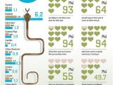 Pets at Home Pet Care Plan 17 Best Images About Cat Infographics On Pinterest Pets