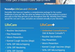 Pets at Home Pet Care Plan Penmellyn Lifecare Pet Health Plan