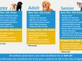 Pets at Home Pet Care Plan Pet Care Plans In Crestwood Ky Crestwood Animal Hospital