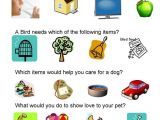 Pets at Home Pet Care Plan Pet Care Safety Lesson Plans Homeschool Pets