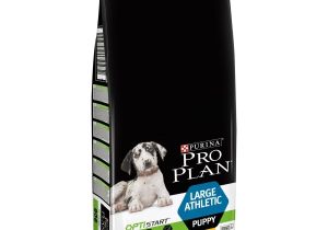 Pets at Home Pro Plan Pro Plan Large athletic Puppy Dry Dog Food Chicken Pets Pets at Home Pro Plan Pro Plan Large athletic Puppy Dry Dog Food Chicken Pets