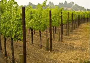 Placement Plans Children039s Homes 60 New Collection Placement Plans Children 39 S Homes Home Placement Plans Children039s Homes 60 New Collection Placement Plans Children 39 S Homes Home