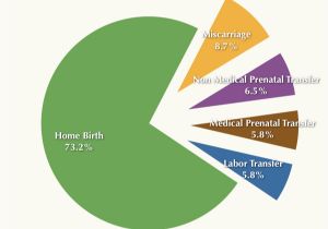Planned Home Birth Statistics Home Birth Vs Hospital Birth Statistics