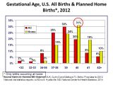 Planned Home Birth Statistics Part I is there A Problem the Transforming Birth Fund