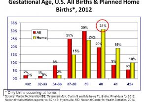 Planned Home Birth Statistics Part I is there A Problem the Transforming Birth Fund