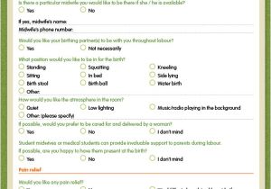 Planning A Home Birth 22 Sample Birth Plan Templates Pdf Word Apple Pages Planning A Home Birth 22 Sample Birth Plan Templates Pdf Word Apple Pages