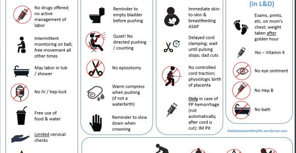 Planning A Home Birth A Downloadable Visual Birth Plan the Best Season Of My Life