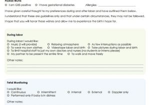 Planning A Home Birth Birth Plan Template Madinbelgrade Planning A Home Birth Birth Plan Template Madinbelgrade