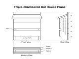 Plans for A Bat House How to Make A Bat House Get Rid Of Those Bugs Insects