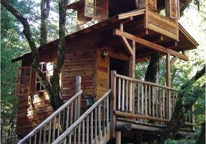 Plans for A Tree House 29 Best Tree House Ideas Images On Pinterest Tree Houses