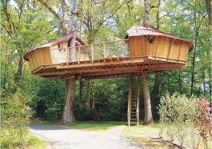 Plans for A Tree House Outdoor Awesome Treehouse Plans and Designs Beautiful