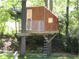 Plans for A Tree House Small Tree House Plans Fresh Small Tree House Plans Tree