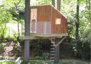 Plans for A Tree House Small Tree House Plans Fresh Small Tree House Plans Tree