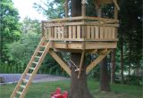 Plans for A Tree House Tree fort Ladder Gate Roof Finale Village Custom