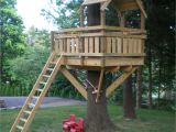 Plans for A Tree House Tree fort Ladder Gate Roof Finale Village Custom