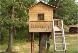 Plans for A Tree House Tree House Plans Free Find House Plans