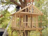 Plans for A Tree House Tree House Plans