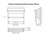 Plans for Building A Bat House How to Make A Bat House Get Rid Of Those Bugs Insects