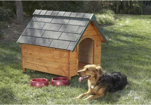 Plans for Building A Dog House Build A Dog House